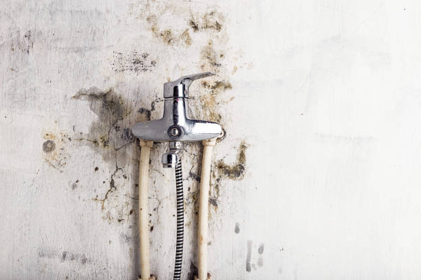 Best Mold Remediation for Specific Building Types in New Canaan, CT